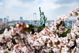 Japan_Sakura_2025 (9/79)